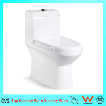 Ovs Ceramic Bathroom Best Design Toilets Flush Valve